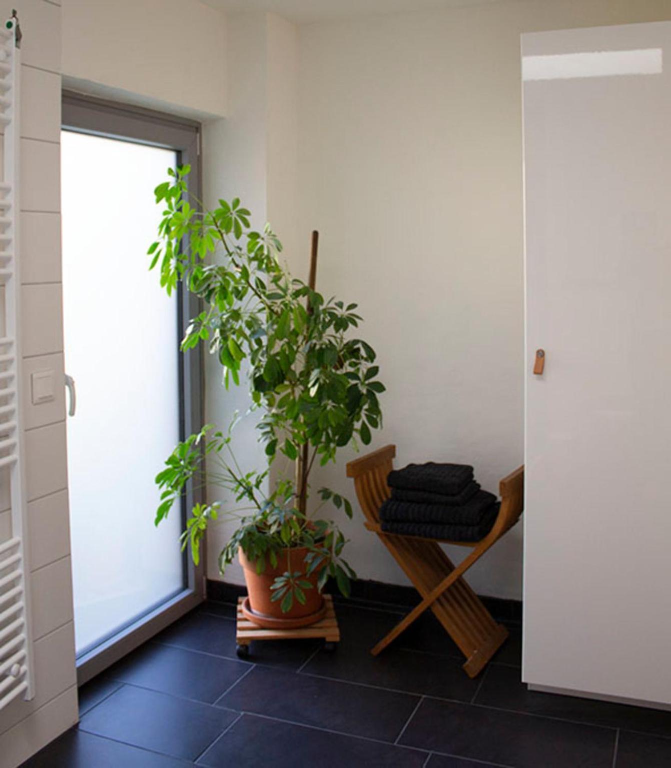 Achterdeck Mit Sauna 埃肯弗德 外观 照片